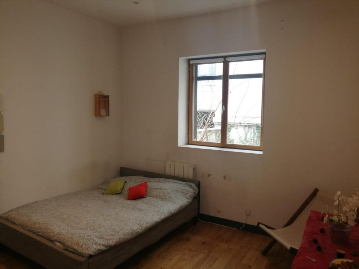 Loft Viarhona, Grand Loft En Centre-Ville Lyon Dış mekan fotoğraf