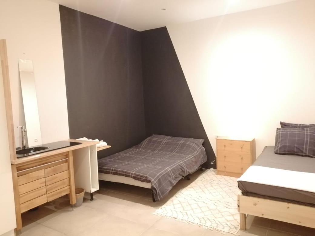 Loft Viarhona, Grand Loft En Centre-Ville Lyon Dış mekan fotoğraf