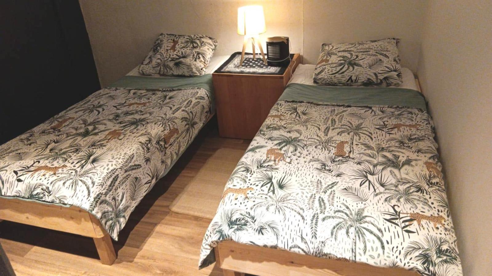 Loft Viarhona, Grand Loft En Centre-Ville Lyon Dış mekan fotoğraf